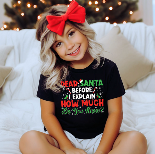 Dear Santa...How Much Do You Know Toddler/Youth Tee